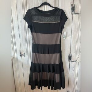 R&M RICHARDS shortsleeve knee length micromesh black nude underlay stripes sz 8